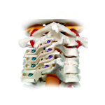 Imagen anterior del producto