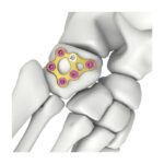 Imagen anterior del producto