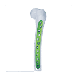 Imagen anterior del producto