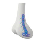 Imagen anterior del producto