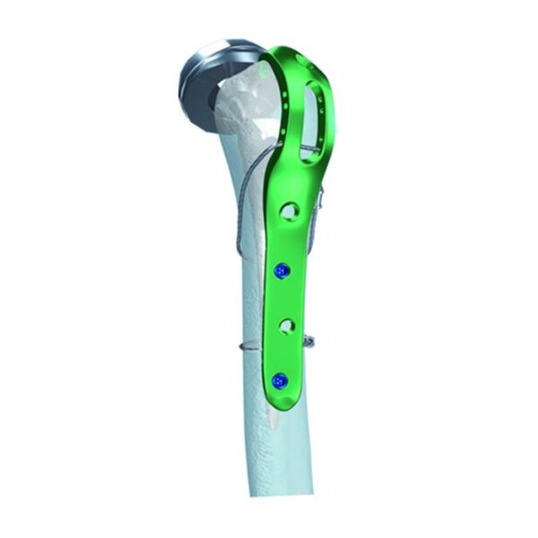 Placa Bloqueada de Cable con Gancho