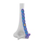 Imagen siguiente del producto