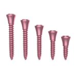 Imagen anterior del producto