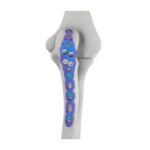 Imagen siguiente del producto